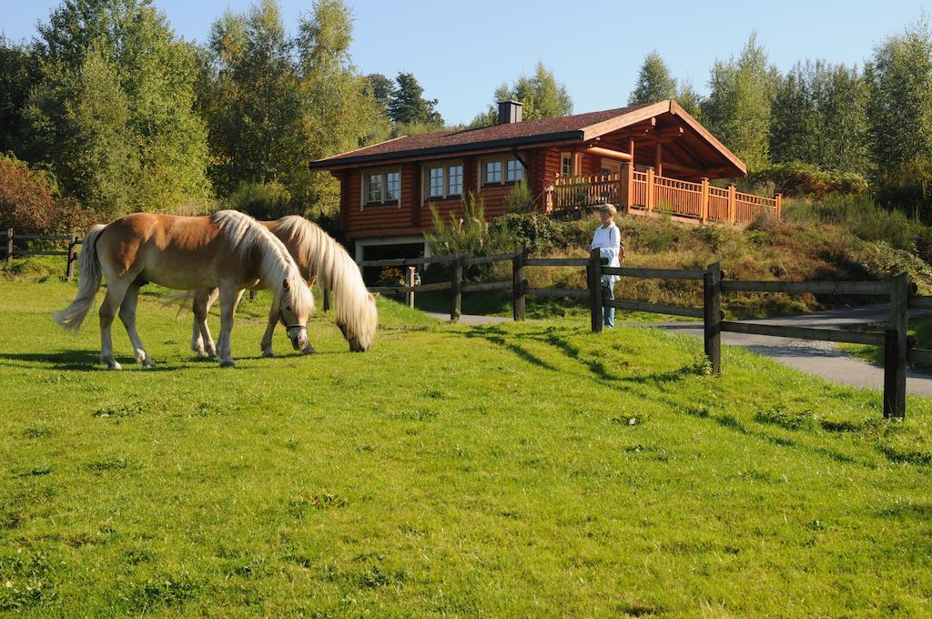 ארנסברג Hotelanlage Country Lodge מראה חיצוני תמונה